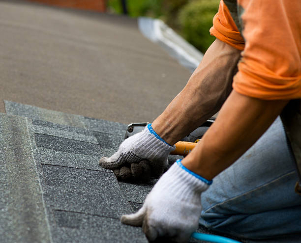 Best Roof Repair Services  in Shannon Hills, AR